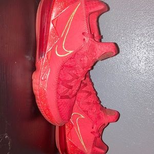 Nike Titan x Lebron 17 Lows (MAKE AN OFFER)